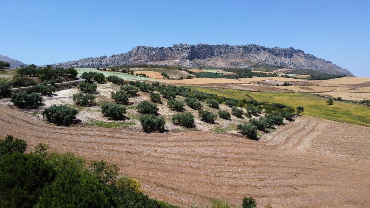 La Posada Del Torcal Вільянуева-де-ла-Консепсьйон Екстер'єр фото